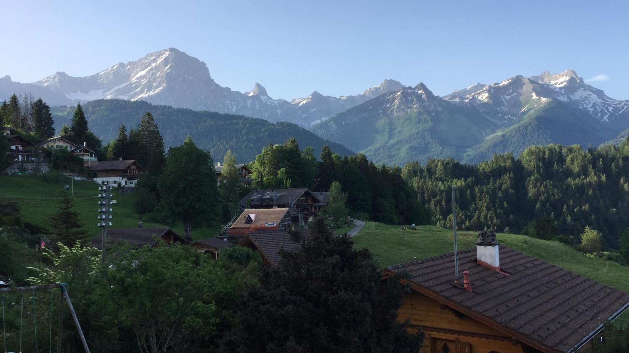 Chalet Le Slalom Arveyes 외부 사진