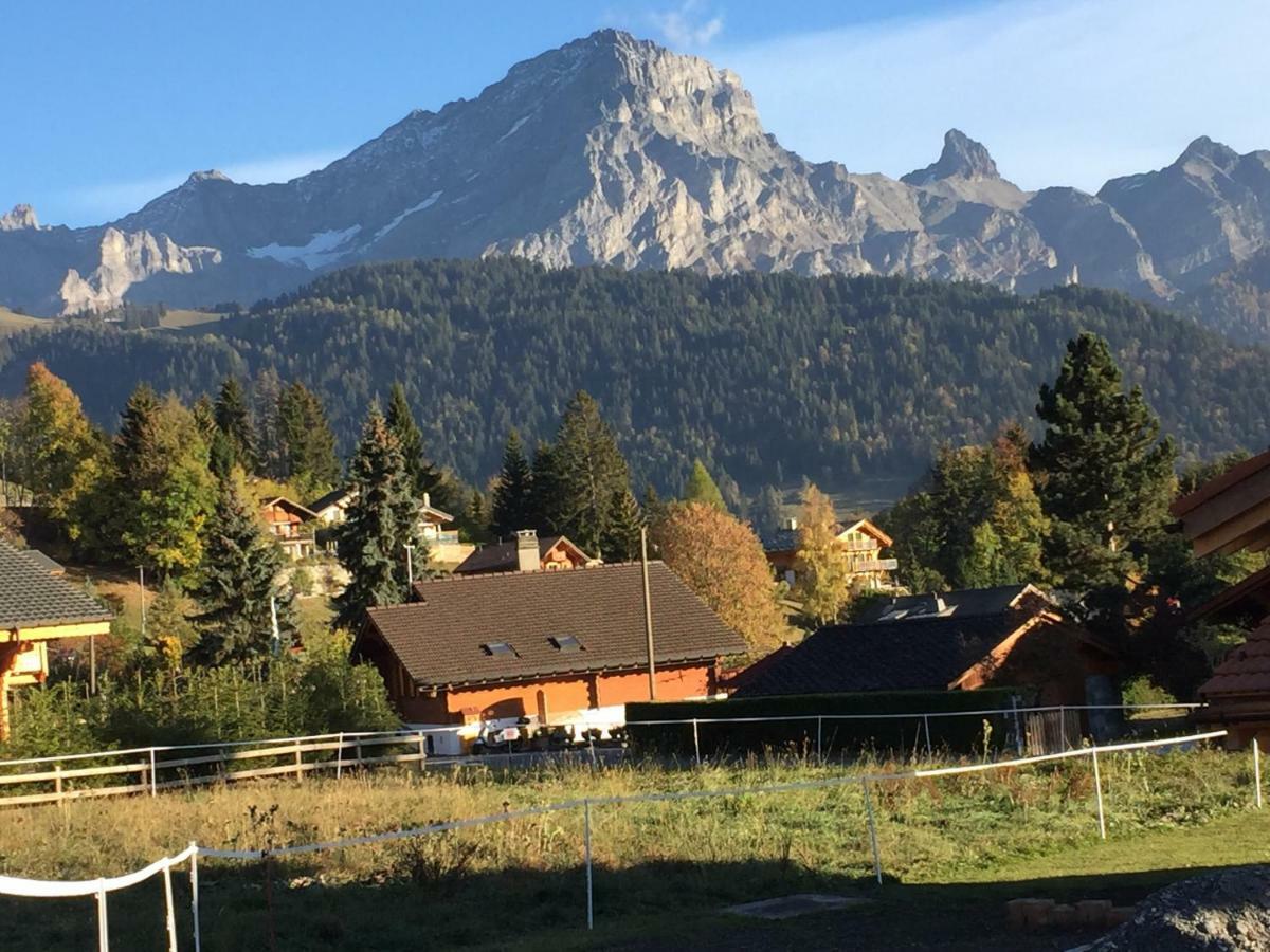 Chalet Le Slalom Arveyes 외부 사진