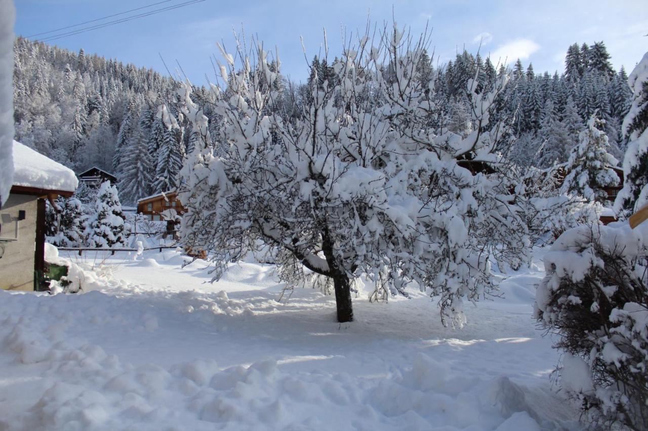 Chalet Le Slalom Arveyes 외부 사진